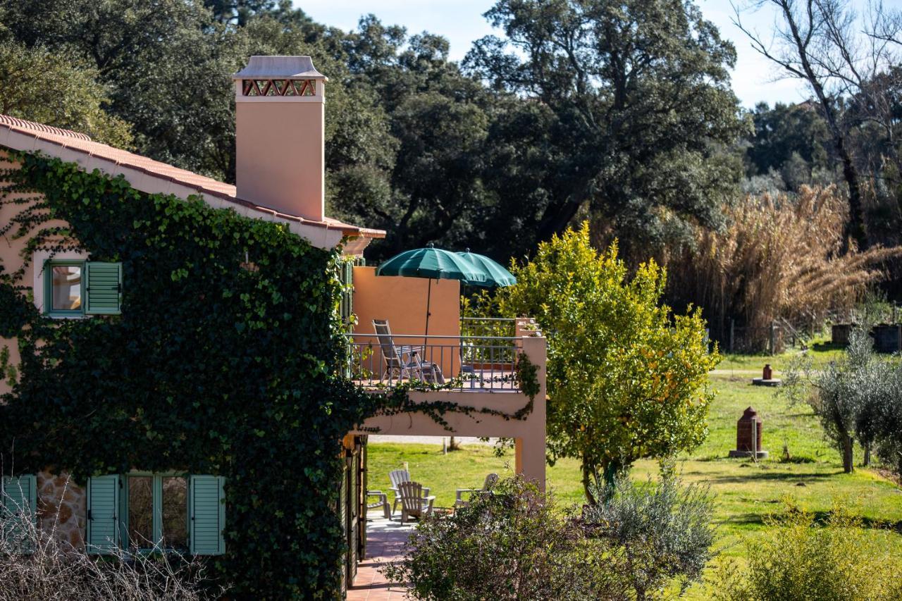Vale De Ferreiros Guest House Abrantes Bagian luar foto