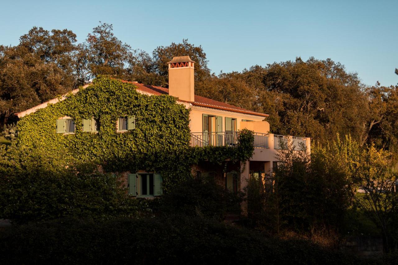 Vale De Ferreiros Guest House Abrantes Bagian luar foto