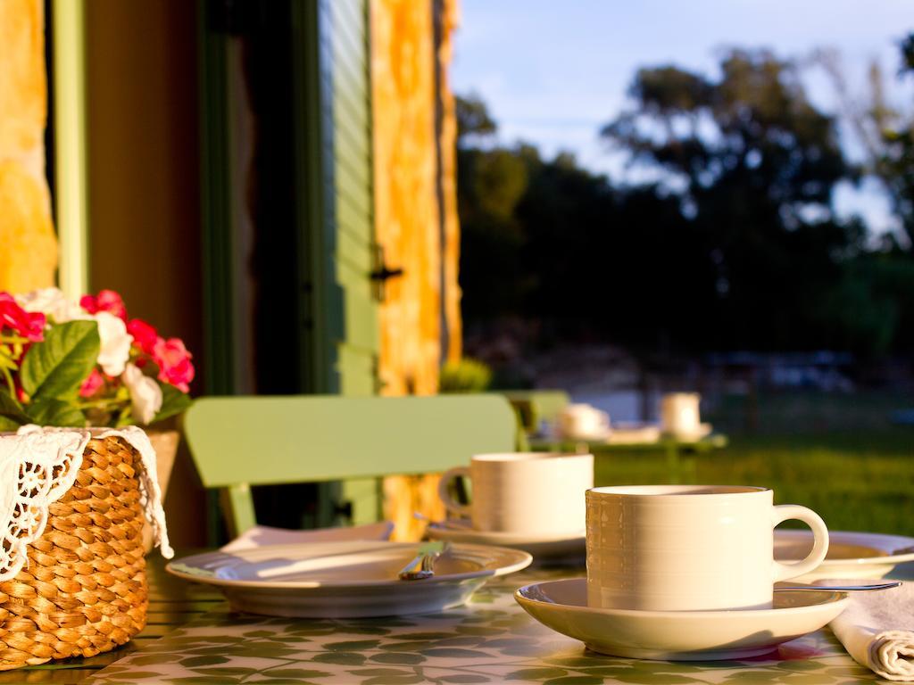 Vale De Ferreiros Guest House Abrantes Bagian luar foto