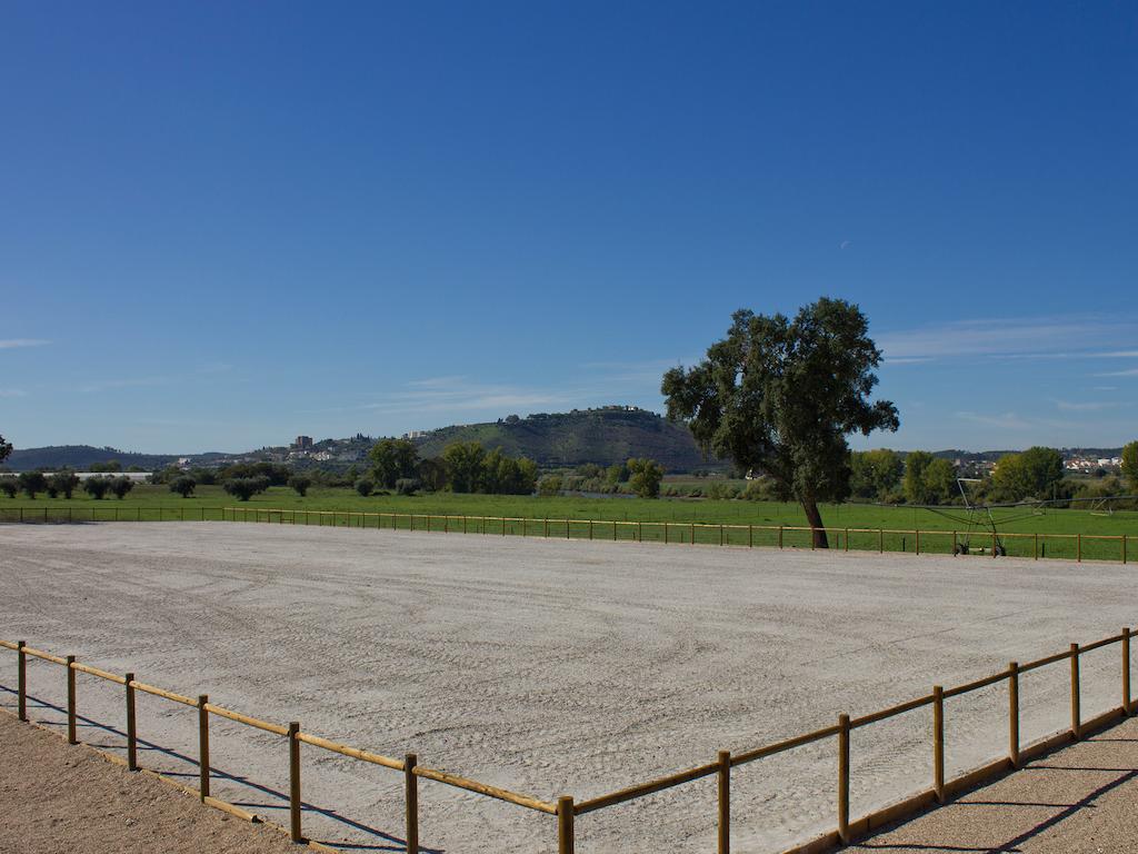 Vale De Ferreiros Guest House Abrantes Bagian luar foto